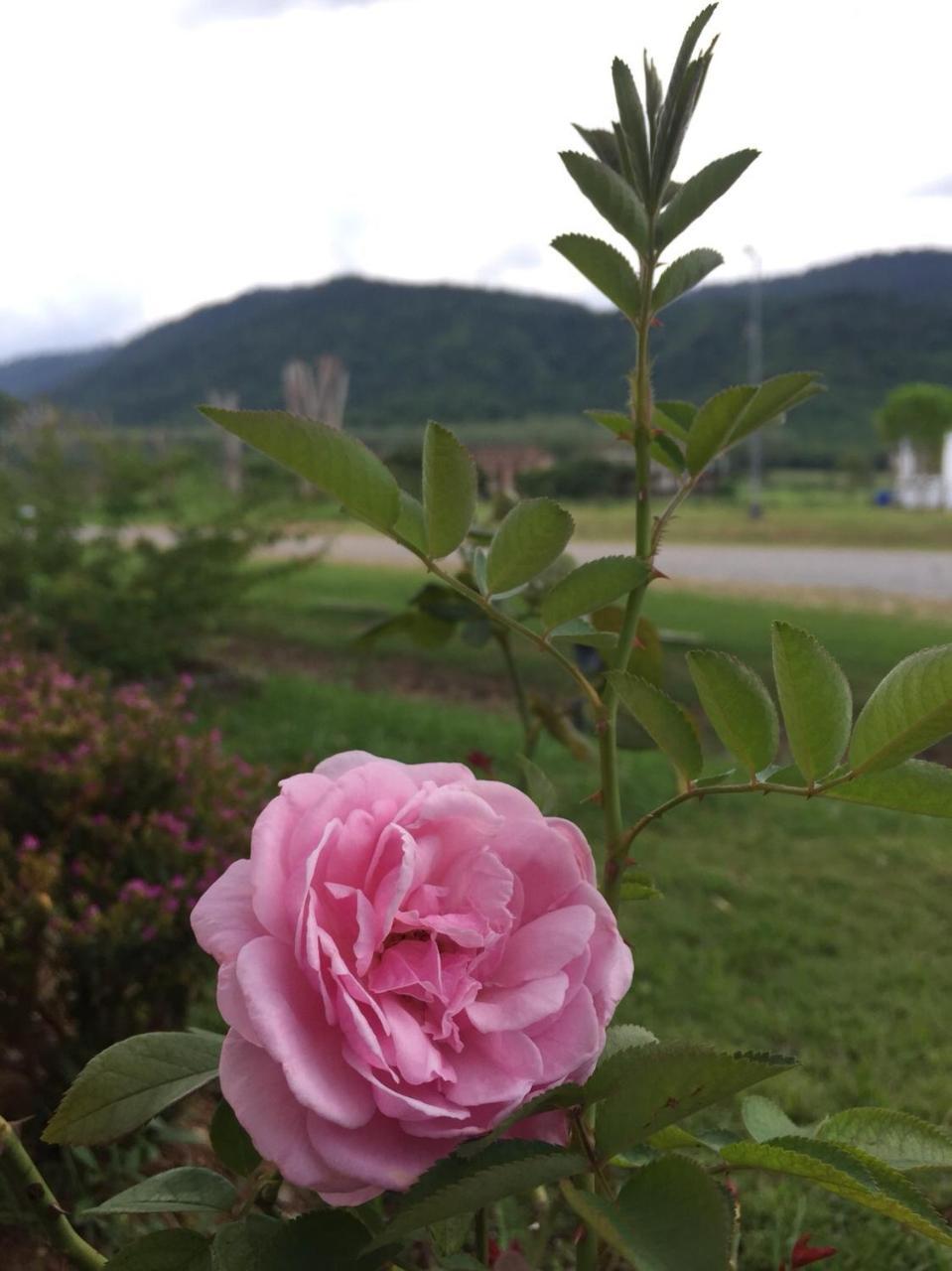 Samerdrow Khao Yai Mu Si Dış mekan fotoğraf